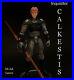 STAR WARS CUSTOM Fallen Order Inquisitor Cal Kestis 3.75 SITH JEDI CUSTOM